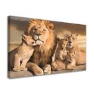Quadro Decorativo Tela Familia Leão E Filhotes Sala Quarto Escritório