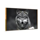 Quadro Decorativo The Wolf Lobo perfeito para quem ama momentos e a arte. Ideal para salas, quartos e escritórios.