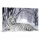 Quadro decorativo Tigre Branco Animais com Tela em Tecido