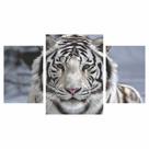 Quadro Decorativo Tigre Branco - Estilo e Impacto para Sua Decoração