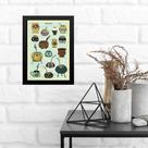 Quadro Decorativo Tipos De Cuia 33x24cm - com vidro