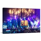 Quadro decorativo Tomorrowland Música Festa Tela em Tecido