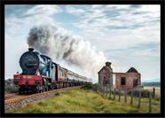 Quadro Decorativo Trem Locomotiva Máquinas Paisagem Salas Quartos Escritórios Com Moldura RC056