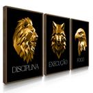 Quadro Decorativo Trio Disciplina Dourado Leão Execução Motivação com Moldura