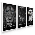 Quadro Decorativo Trio Disciplina Escritório Sala Letras Cursivo Kit 70x50 com Moldura Quadro Decorativo Trio Disciplina Escritório Sala Letras Cursivo Kit 70x50 com Moldura