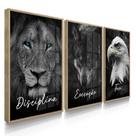 Quadro Decorativo Trio Disciplina Escritório Sala Letras Cursivo Kit 70x50 com Moldura Quadro Decorativo Trio Disciplina Escritório Sala Letras Cursivo Kit 70x50 com Moldura