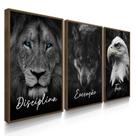 Quadro Decorativo Trio Disciplina Escritório Sala Letras Cursivo Kit 70x50 com Moldura Quadro Decorativo Trio Disciplina Escritório Sala Letras Cursivo Kit 70x50 com Moldura