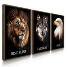 Quadro Decorativo Trio Disciplina Leão Arte Decoração 70x50 com Vidro Quadro Decorativo Trio Disciplina Leão Arte Decoração 70x50 com Vidro
