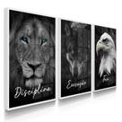 Quadro Decorativo Trio Disciplina Leão Empresa Letra Cursivo 70x50 com Vidro