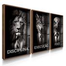 Quadro Decorativo Trio Disciplina Leão Terno Execução Foco 70x50 com Vidro Quadro Decorativo Trio Disciplina Leão Terno Execução Foco 70x50 com Vidro