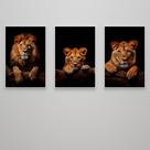 Quadro decorativo trio família de leão com 1 filhote