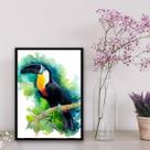 Quadro Decorativo Tucano Aquarela 45x34cm - com vidro