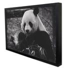 Quadro Decorativo Urso Panda em Moldura Caixa Quadro Decorativo Urso Panda em Moldura Caixa