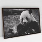 Quadro Decorativo Urso Panda em tela Canvas