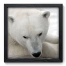 Quadro Decorativo - Urso Polar - 33cm x 33cm - 015qdsp