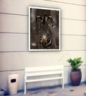 Quadro Decorativo Zebra Fotografia - 70x50cm