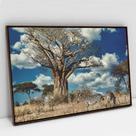 Quadro Decorativo Zebras na Selva em tela Canvas