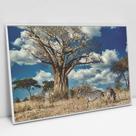 Quadro Decorativo Zebras na Selva em tela Canvas