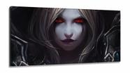 Quadro Decorativos Warcraft em Tecido Canvas 130x60 m2