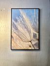 Quadro Dente De Leão Planta Flor Amarela Moldura Quadro Dente De Leão Planta Flor Amarela Moldura