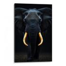 Quadro Elefante Majestoso Sob Céu Noturno Profundo