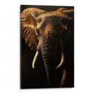 Quadro Elefante Sábio Eterno na Sombra Profunda