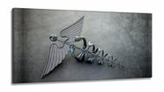 Quadro Em Tecido Medicina Contabilidade Caduceu Cinza em Tecido Canvas 130x60 Quadro Em Tecido Medicina Contabilidade Caduceu Cinza em Tecido Canvas 130x60