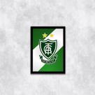 Quadro Escudo América MG 45x34cm - com vidro