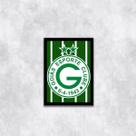 Quadro Escudo Goiás EC 33x24cm - com vidro