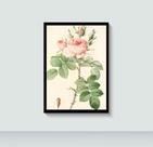 Quadro Flor Flores e Plantas com Moldura E Acetato Tamanho A3