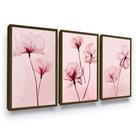 Quadro Flor Rosa Minimalista Tendência Trio Moderno
