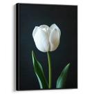 Quadro Flor - Tulipa Branca Solitária de Pureza e Serenidade