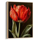 Quadro Flor - Tulipa Vermelha Sussurrando Poemas de Amor Eterno
