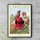 Quadro Flor Vermelha Com Passarinho 33x24cm - com vidro Quadro Flor Vermelha Com Passarinho 33x24cm - com vidro