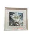 Quadro flores brancas