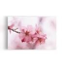 Quadro Flores de Cerejeira Rosa Sakura Foto Canvas 60x40cm