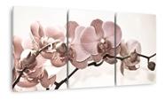 Quadro Flores Orquídeas Bege Para Sala Recepção Tecido Quadro Flores Orquídeas Bege Para Sala Recepção Tecido