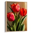 Quadro Flores - Tulipas Vermelhas na Serenata da Manhã Dourada