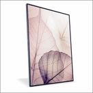 Quadro Folhagem RX Vinil Sem Vidro Quadro Folhagem RX Vinil Sem Vidro