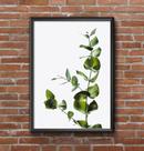Quadro Folhas verdes Natureza Tamanho A3 Com Moldura Quadro Folhas verdes Natureza Tamanho A3 Com Moldura
