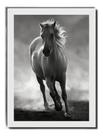 Quadro Foto Cavalo Equino Animal Raça Decoração Sala