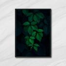 Quadro Foto Folhagem 45x34cm - com vidro