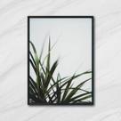 Quadro Fotografia de Capim 24x18cm - com vidro Quadro Fotografia de Capim 24x18cm - com vidro