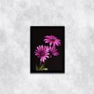 Quadro Fotografia Margaridas Roxas 24x18cm - com vidro