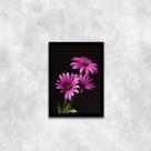 Quadro Fotografia Margaridas Roxas 45x34cm - com vidro