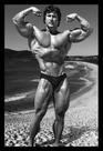 Quadro Frank Zene Fisiculturista Academia Gym 42x29cm Quadro Frank Zene Fisiculturista Academia Gym 42x29cm