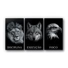 Quadro Frases Animais Disciplina Execução Foco Kit 110x60cm