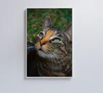 Quadro Gato