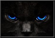 Quadro Gato Preto Olhos Azuis Moldura 42x29cm