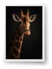 Quadro Girafa Luxuosa Em Fundo Escuro 50x70cm